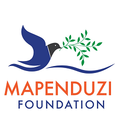 mapenduz foundation